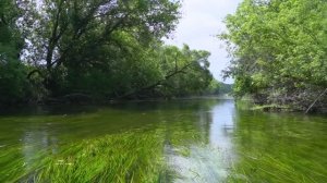 ЛЕТНЯЯ ЛОВЛЯ ГОЛАВЛЯ