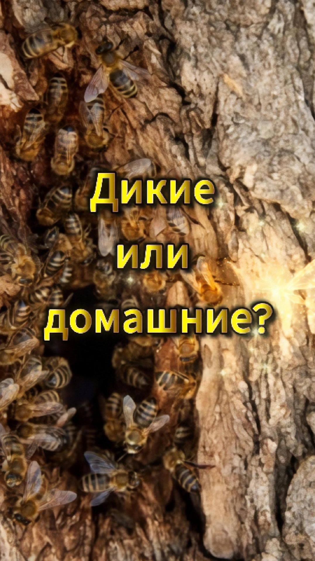 Пчелы это дикие или домашниее животные