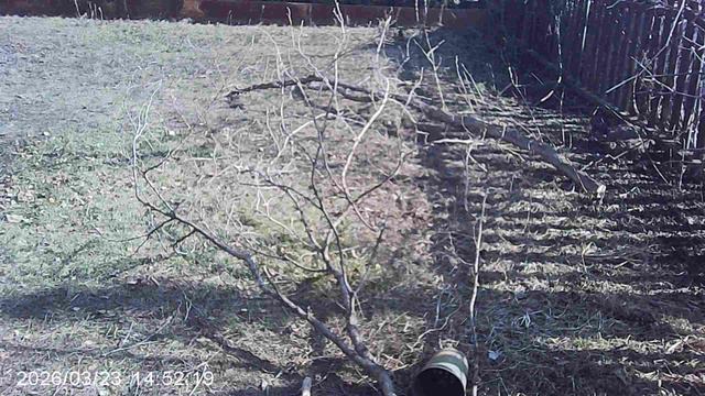 Обзор почти достигнутой цели !