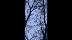 ГЕРАНЬ-2 В КРИВОЙ РОГ.