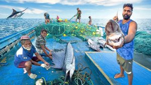 Оооо!! Шестой день: мы остались в открытом море и поймали много тунца