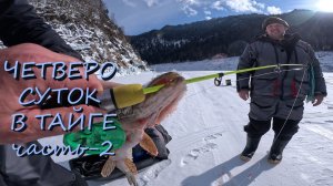 ХРОНИКИ КАНТЕГИРСКОЙ РЫБАЛКИ | ПОЙМАЛИ НЕЗНАКОМУЮ НАМ РЫБУ...