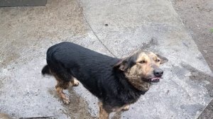 Пусть всё будет и растёт