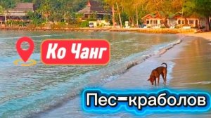 24 серия. После завтрака, уезжаем с ко Чанга в Паттайю. Февраль 2026 г.