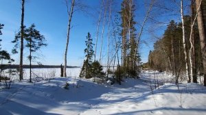 Весна света..