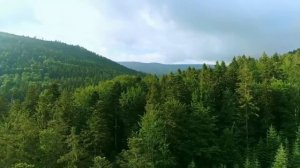 Песня о временных трудностях