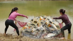 Интересная техника ловли рыбы во Вьетнаме