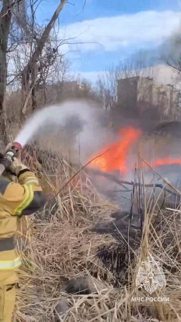 Донецкие пожарные защитили от стихии жилой дом