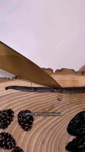 21:50. Время, когда останавливается жизнь.