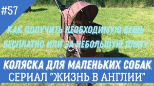 Как получить необходимую вещь бесплатно или очень дешево. Коляска для собак. №57 Жизнь в Англии