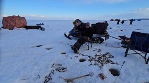 Ловля корюшки на блесна Булава, Гусеница большая, Посейдон от Mr. Musurok