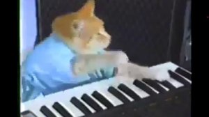 кот ватса на пианино