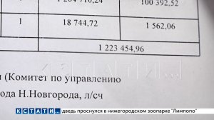 Увеличение арендной платы сразу на 3 000 % поставило футбольную школу на грань закрытия