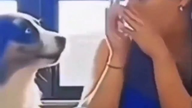 Что то интересное 🤣