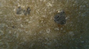 СЕКРЕТЫ ЗАТОЧКИ. 10 ошибок новичков при использовании природных камней #4