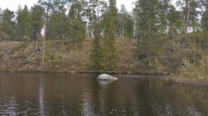 Продолжаем слушать природы 2023-05-27