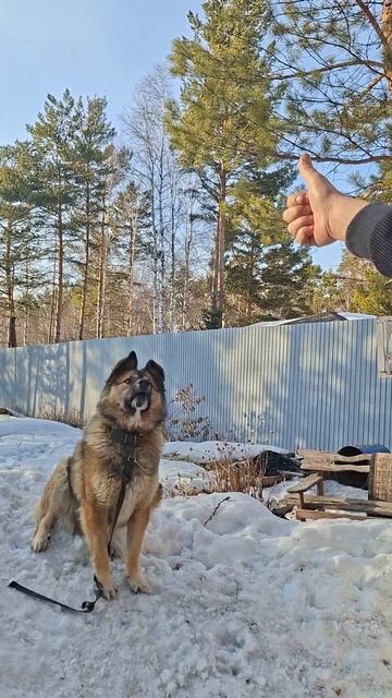 жизнь за городом #наприрорде#дом#накостре#еда#жизнь