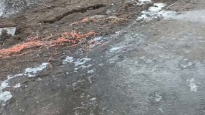 Анекдоты от автора