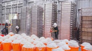 Удивительная коллекция из 6 традиционных блюд: пирог с редисом, красный дрожжевой рисовый пирог