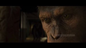 🎬 Восстание планеты обезьян Rise of the Planet of the Apes, 2011