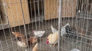 🩷 Три дня нашей истории…