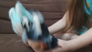 балет моей сестры