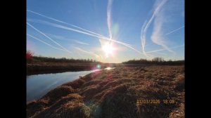 Кадры дня 21 марта 2026 / Ижора. Межстоличье.