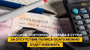 Волоцков: повторного штрафа в сутки за отсутствие полиса ОСАГО можно будет избежать