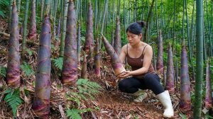 Выкапываю и готовлю побеги бамбука. Строительство зеленой фермы на бесплодной земле