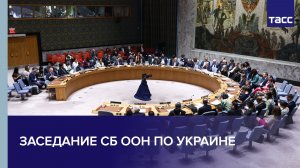Заседание СБ ООН по Украине