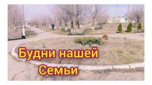 Хорошие Новости!О Страшной Аварии..Прогулка в Парке и Небольшая Покупка