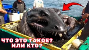 Рыбаки Вытащили Это Существо Из Реки!