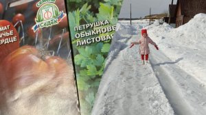 21-22.03.2026 #свяжу_плед_на_выходных Прогулялись до магазина 🛍️