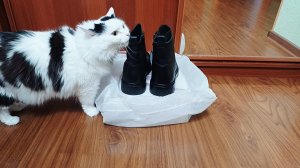 Купила новые ботинки/Очень нежные и вкусные рулетики на обед