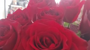 ЕДУ ❗ЕДУ❗ УЕЗЖАЮ ❗🤷 В "ГОСТИ К СУД..-Й"😂😂😂☀️☀️☀️.ЧТО ДЛЯ ВАС БЛОГЕРСТВО❓🤔 ПОГОВОРИМ.💯💐