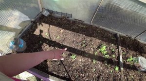 Влог от 03.06.2022