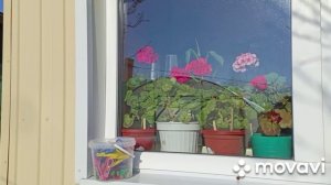 Освободили теплицу.Новый плед.Отвечаю на комментарий