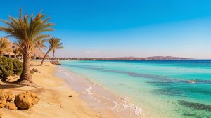 Девушки лежали на лежаках почти у самого моря. Мужчин поблизости не наблюдалось...