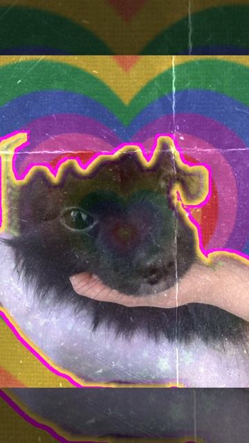 copy_B0ABC49D-B8C6-405A-83B7-E0D9434D2E7A