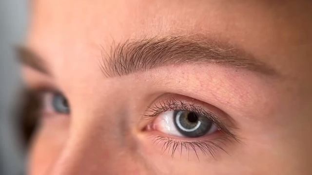 758512559-86181056-1