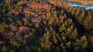 Будьте осторожны 23 марта. Ошибка, которую многие совершают