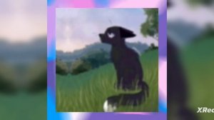 WildCraft/КВ| призы победителям