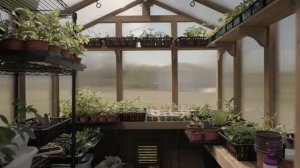 #1 Строим фундамент для нашей теплицы. Ферма 212