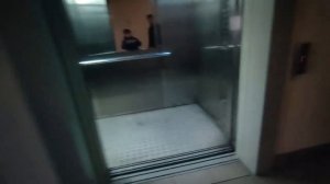 Звуки лифтов: ЩЛЗ Ecomaks 2018