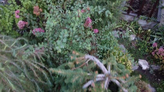 Любимая ДАЧА 6 СОТОК с квадрокоптера