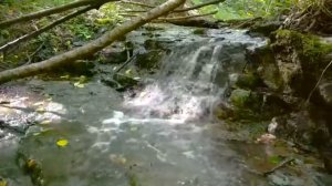 Матрица 3 Мощное Исцеление Костей и Мышц