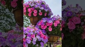 Всё будет только так.mp4