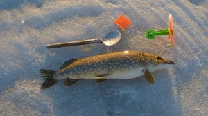 Последний лёд 2026! (5)