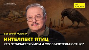 Интеллект птиц | Евгений Коблик Лекция 2026 | Мослекторий