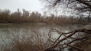 Хочется просто слушать.
Река Терек.